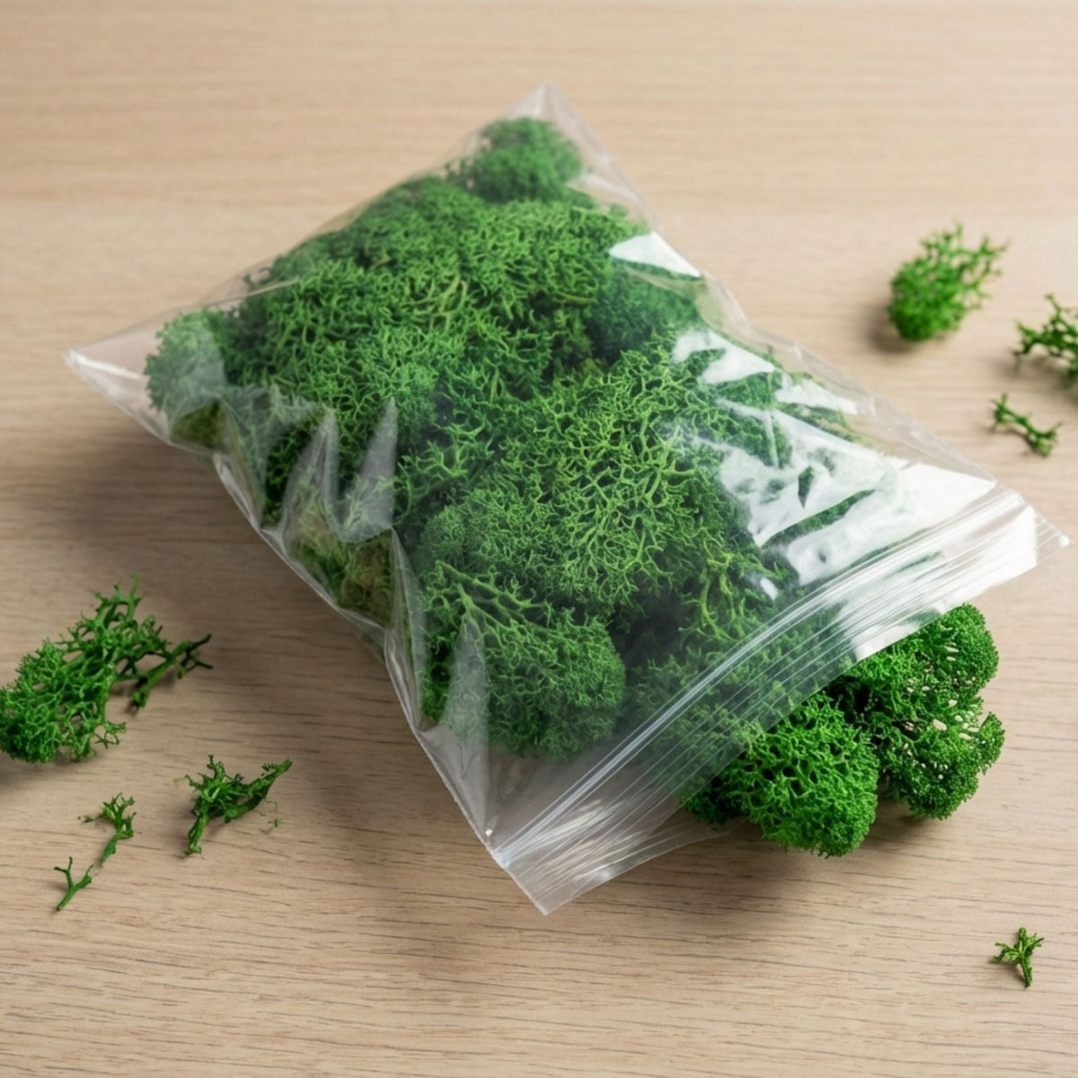 Decorative Reindeer Moss - Green - 1 Bag - 50G