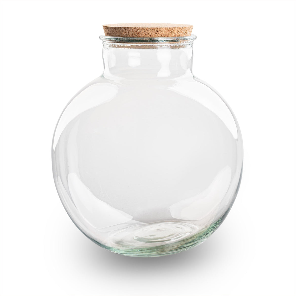 Terrarium Bottle 'Teddy' - Incl. (Led) Cork - Closed Terrarium Ø 25 Cm ↑ 26.5 Cm