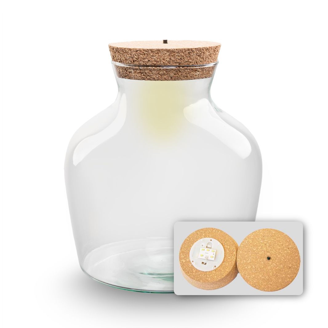 Kit terrarium Sous-bois taille M — Small Eden