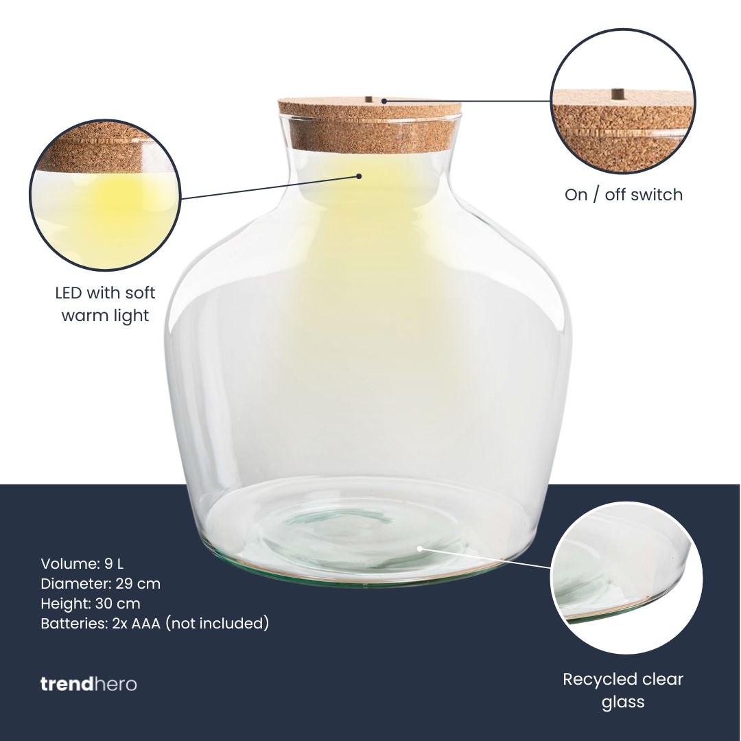 Terrarium Bottle 'Fat Joe' - Incl. Led Cork - Closed Terrarium  Ø 29 Cm ↑ 30 Cm