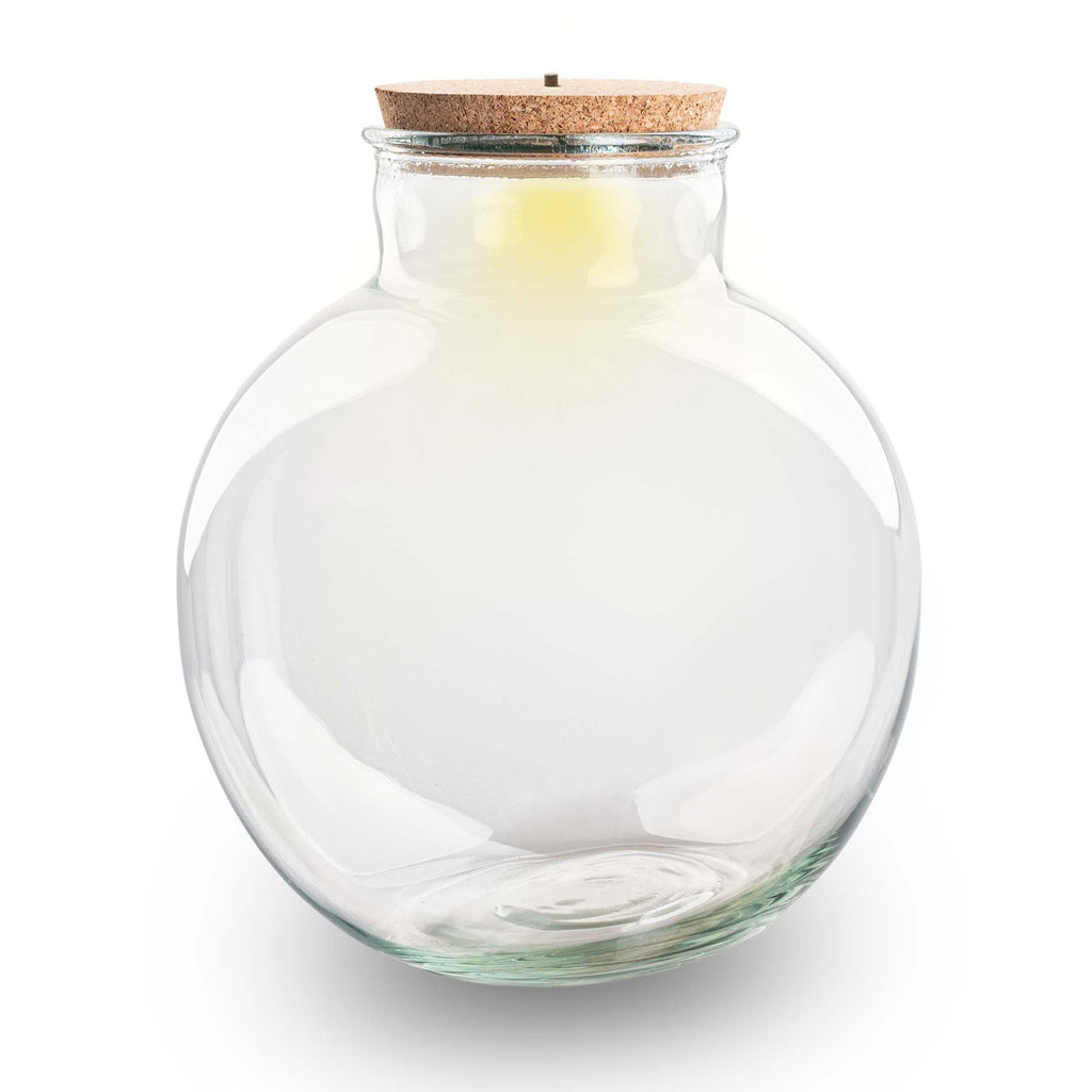 Kit terrarium Bonsaï zen taille XL — Small Eden