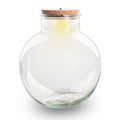 Kit terrarium Bonsaï zen taille XL — Small Eden