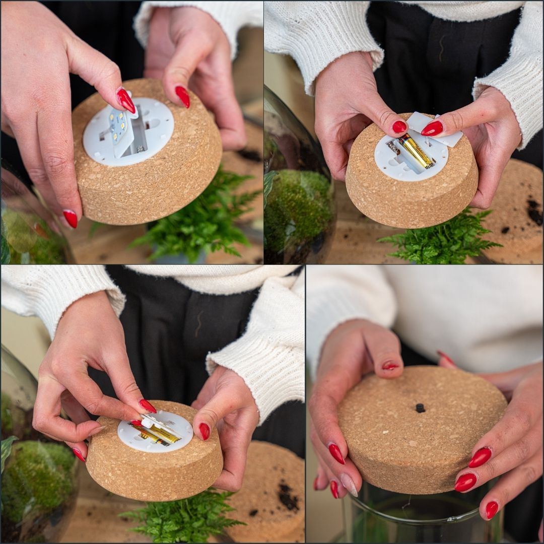 Cork With Led - Terrarium Cork With Light -  3 Sizes Available