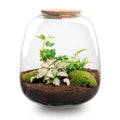 Terrarium Emma - Ø 23 Cm ↑ 25 Cm - Relatiegeschenk