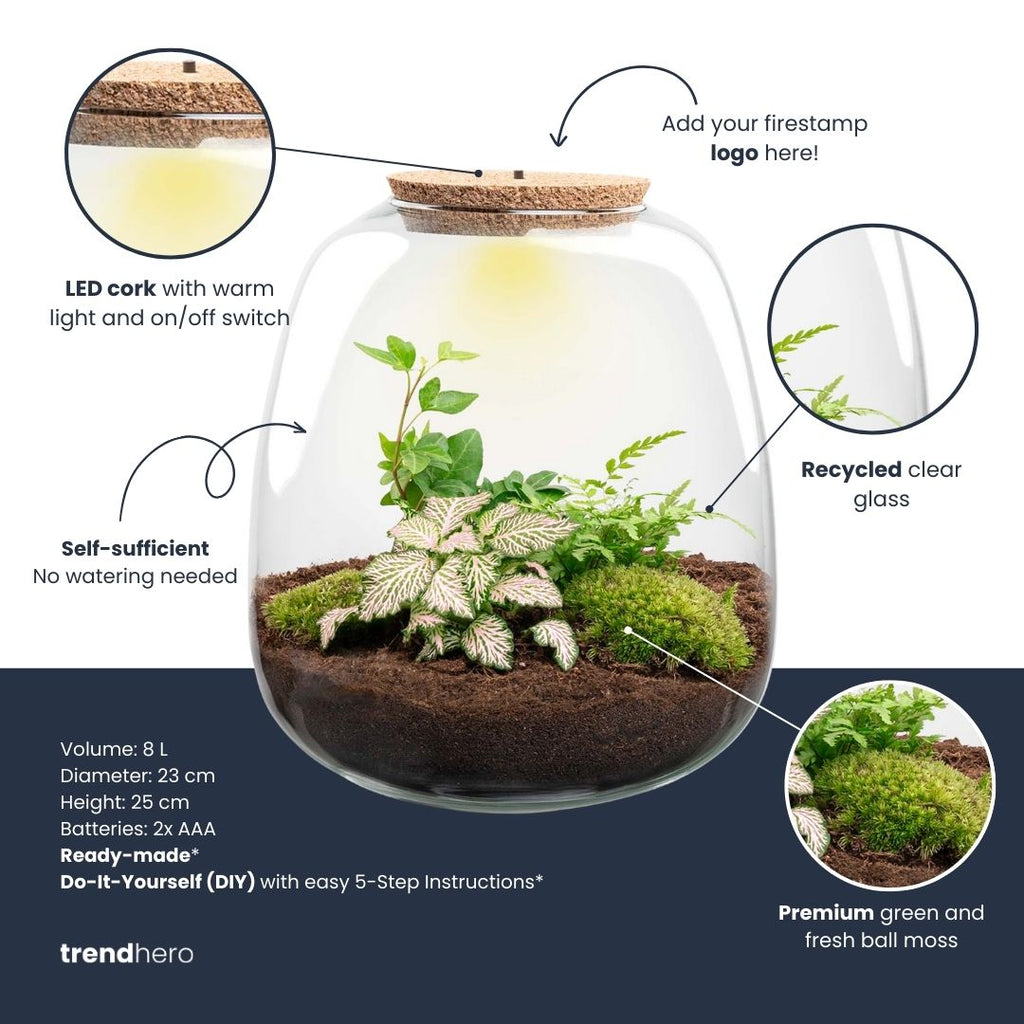 Terrarium Emma - Ø 23 Cm ↑ 25 Cm - Relatiegeschenk