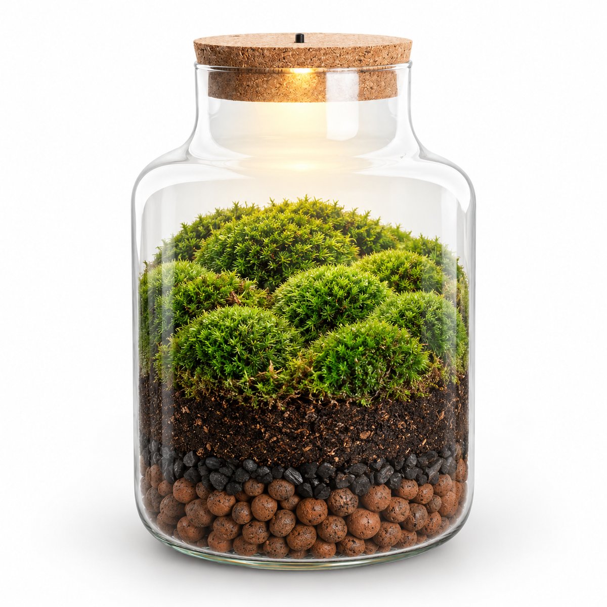 Kit terrarium Mousse & lumière une fois monté : bouteille à bouchon LED, couches de billes d'argile, charbon et terreau, coussins de mousse (image d'illustration)