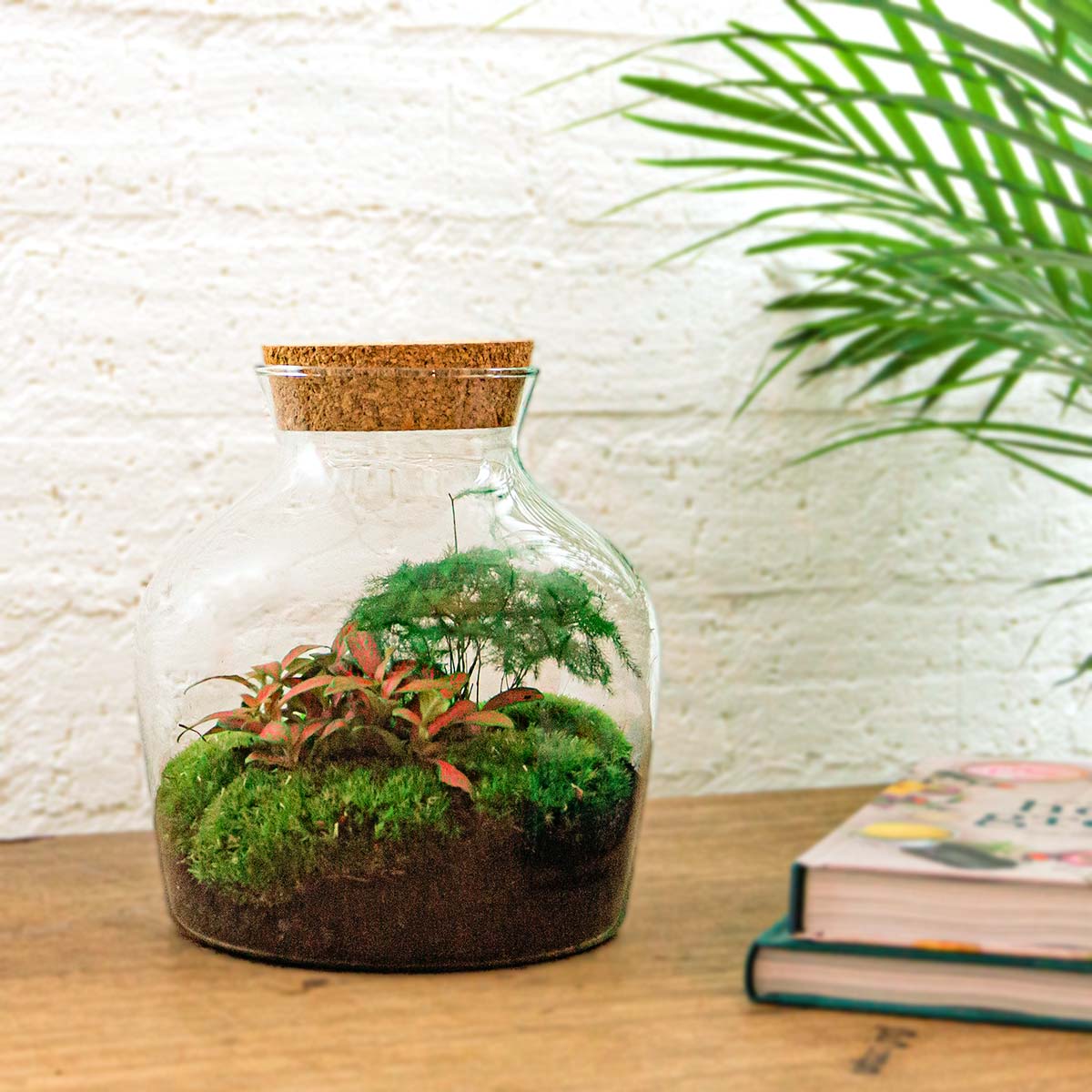 Little Joe - Terrarium With Light - Bottle Garden Diy Kit - Ø 20 Cm ↑ 22 Cm