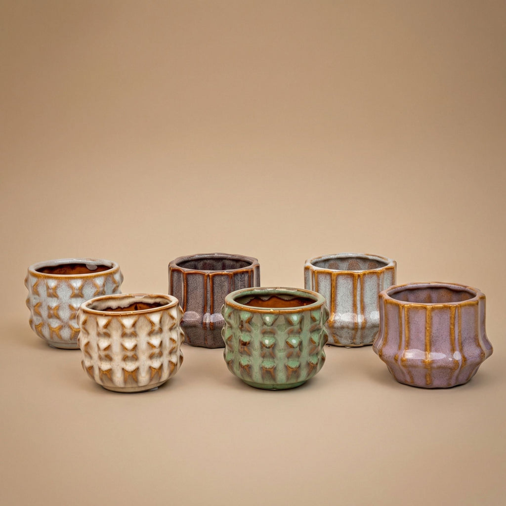 Cacti Set Of 6 In Ceramic Mini Pot San Juan - ↑ 8–12 Cm