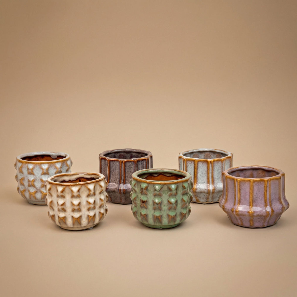 Cacti Set Of 6 In Ceramic Mini Pot San Juan - ↑ 8–12 Cm