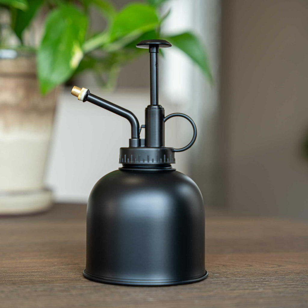 Plant Mister - Waterer - Stainless Steel Gardening Sprinkler - Matte Black - ↑ 15.5 Cm