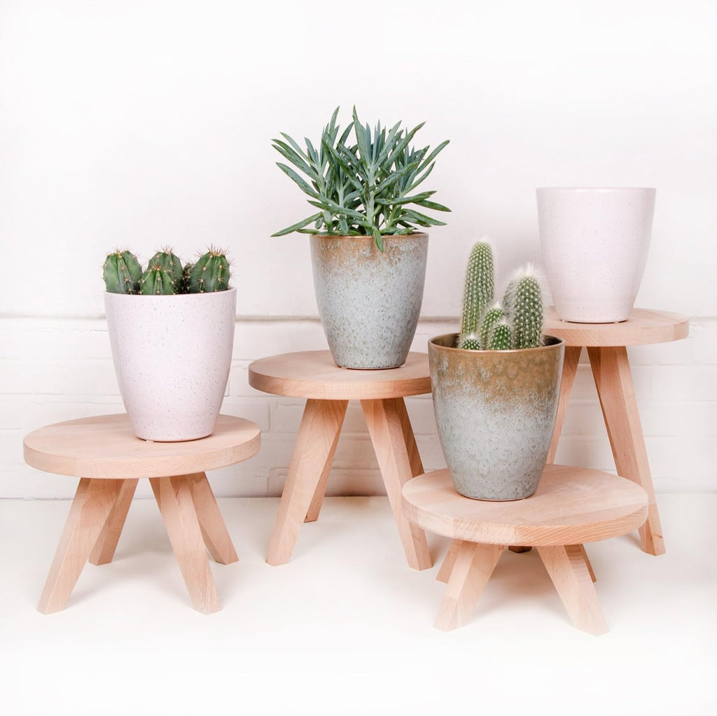 Tibbe 12 Cm - Wooden Plant Or Terrarium Stand