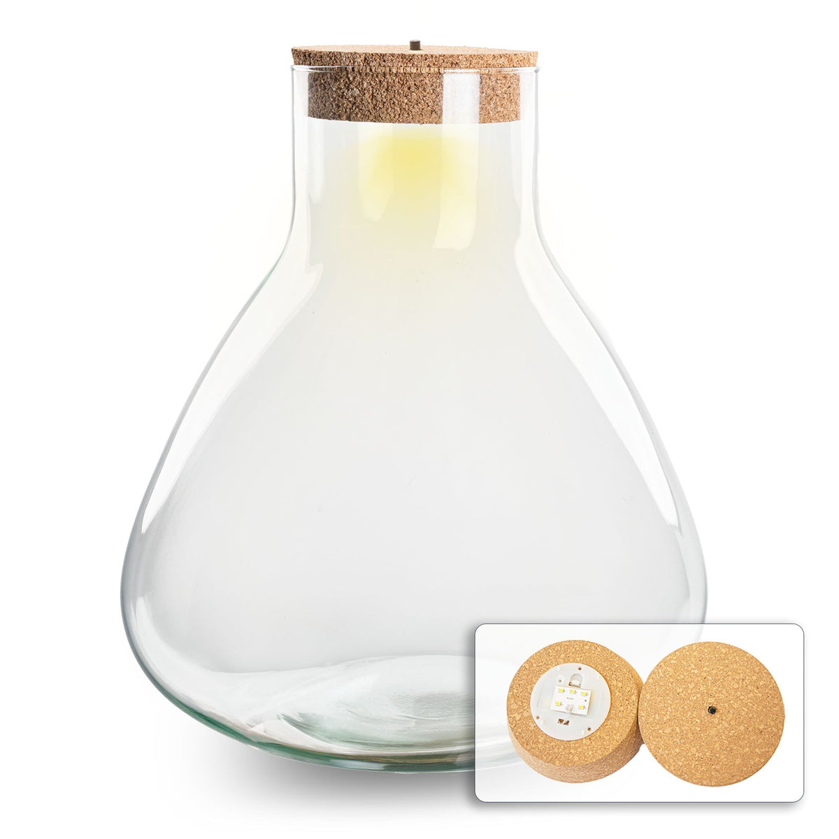 Terrarium With Cork - Sam Xl With Led Cork - ↑ 32 Cm