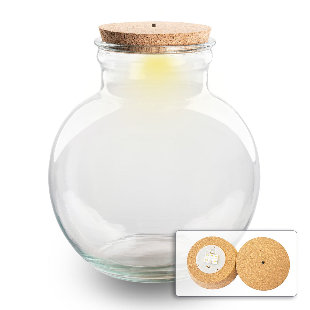 Kit terrarium Jungle taille L — Small Eden