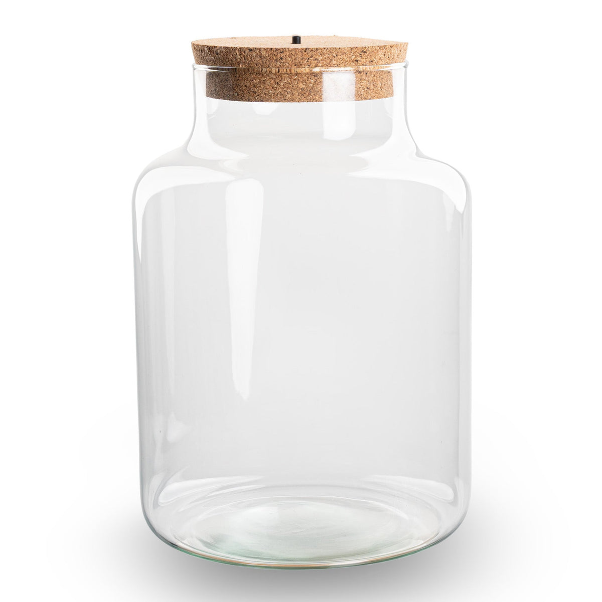Kit terrarium Mousse & lumière taille M — Small Eden