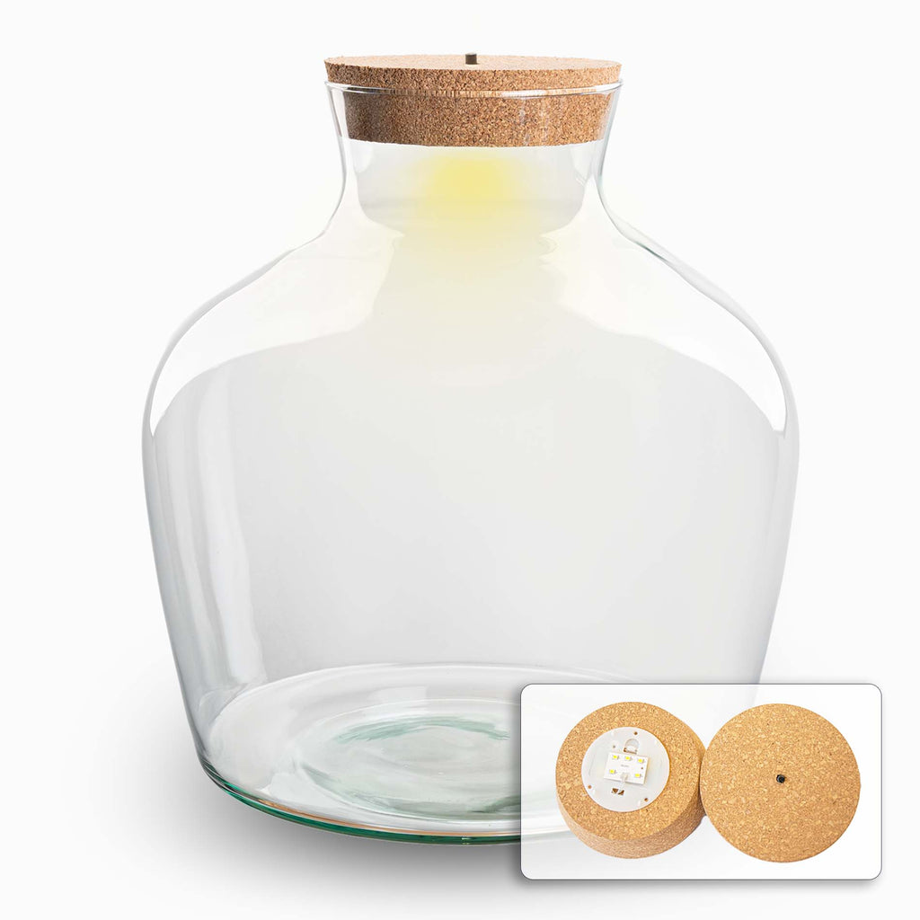 Terrarium Bottle 'Fat Joe' - Incl. Led Cork - Closed Terrarium  Ø 29 Cm ↑ 30 Cm