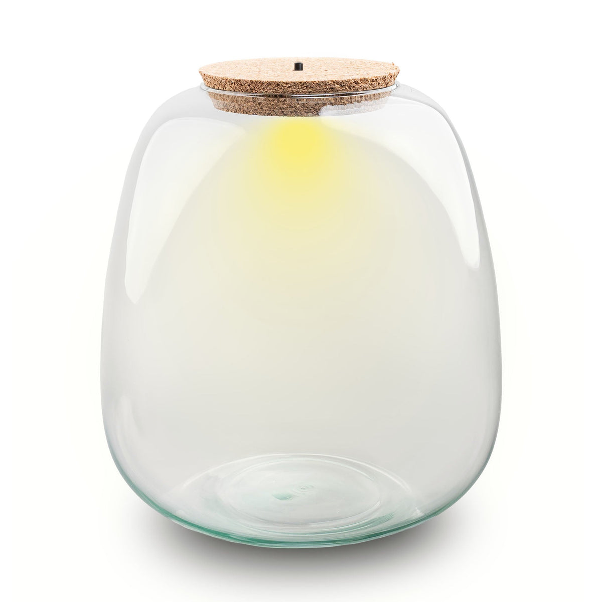 Kit terrarium Café tropical taille L — Small Eden