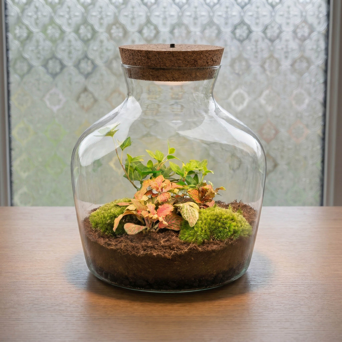 Little Joe - Terrarium With Light - Bottle Garden Diy Kit - Ø 20 Cm ↑ 22 Cm