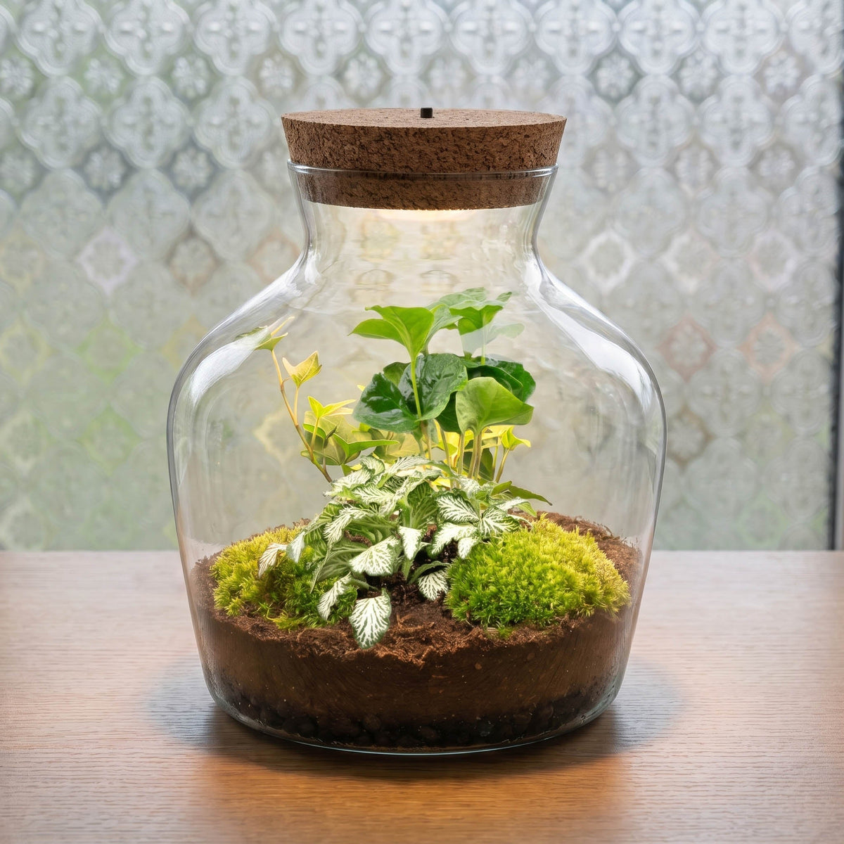 Little Joe - Terrarium With Light - Bottle Garden Diy Kit - Ø 20 Cm ↑ 22 Cm