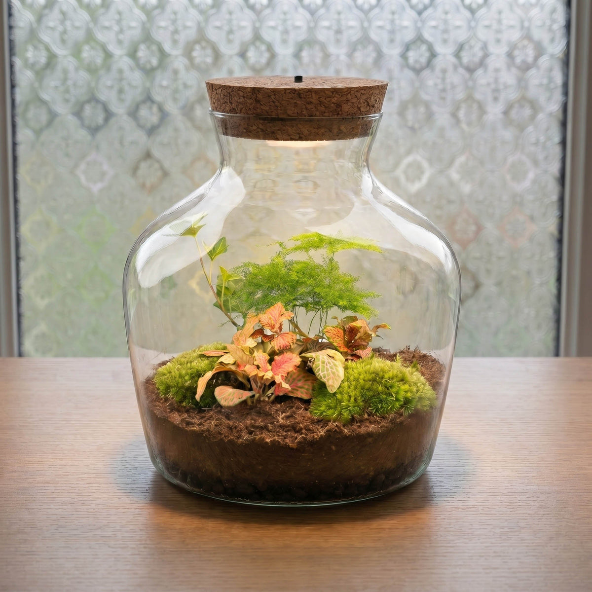 Little Joe - Terrarium With Light - Bottle Garden Diy Kit - Ø 20 Cm ↑ 22 Cm