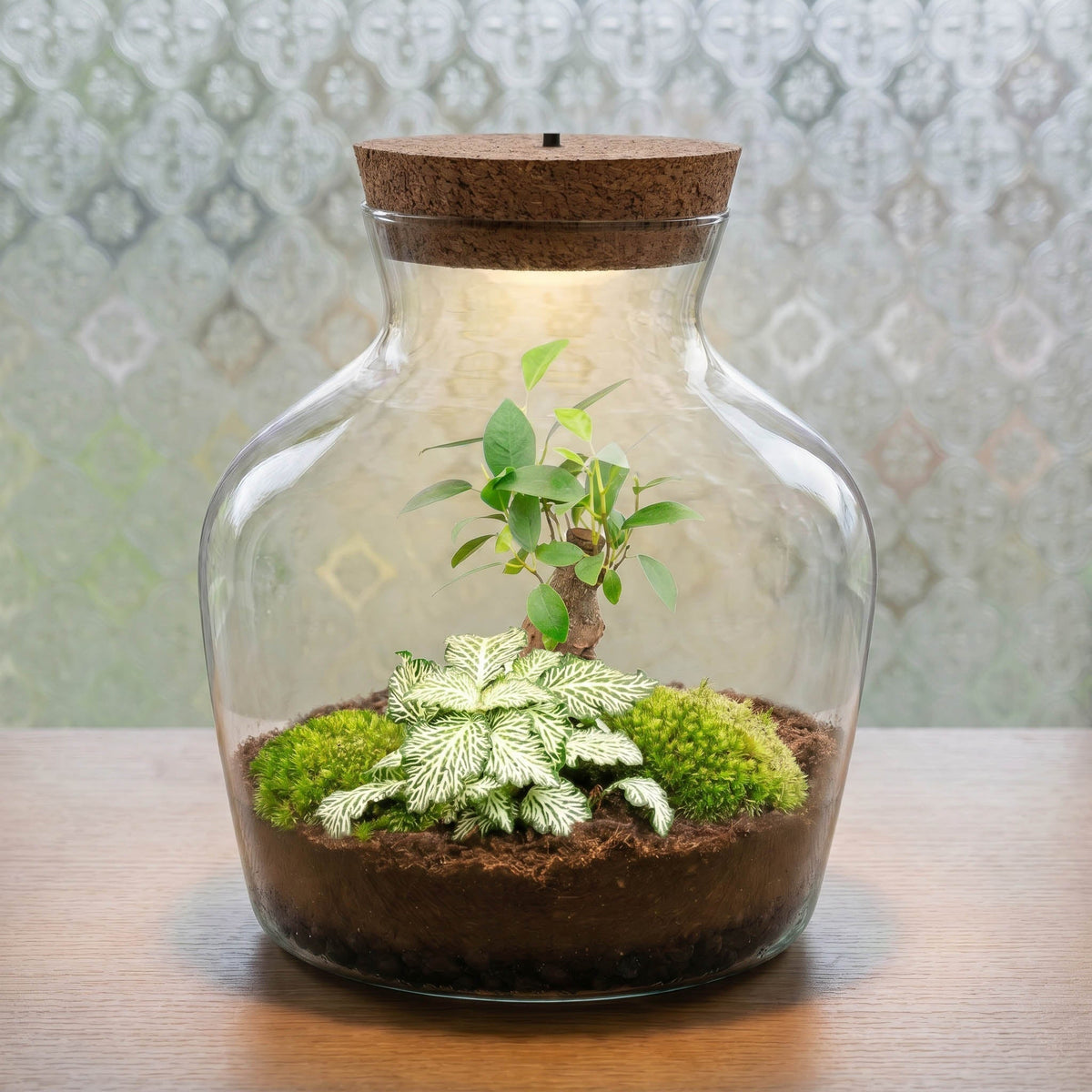 Little Joe - Terrarium With Light - Bottle Garden Diy Kit - Ø 20 Cm ↑ 22 Cm