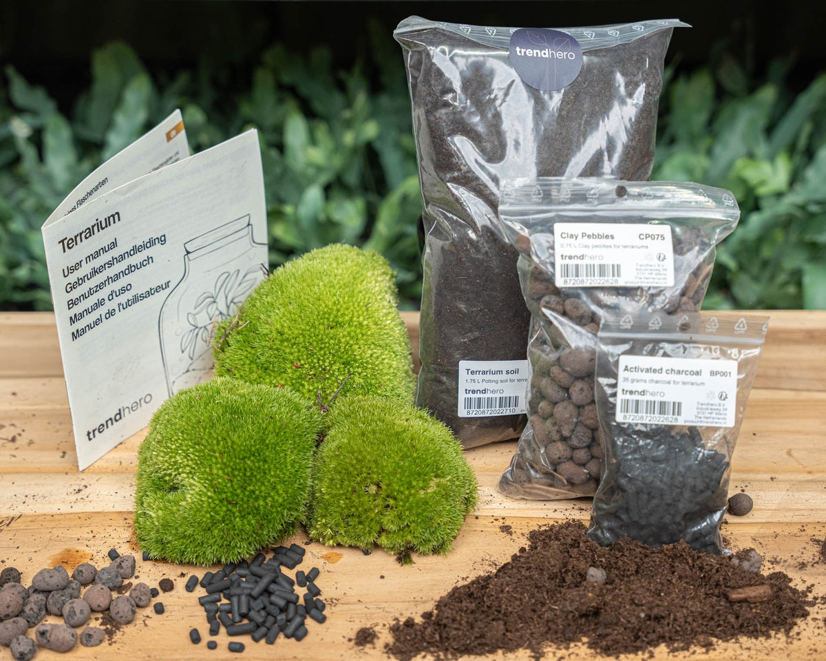 Terrarium Package  – Refill & Starter Package  – Diy Terrarium Kit – Size L/Xl