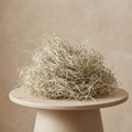 Dried Tillandsia Moss – 1L – Decorative - 100% Natural