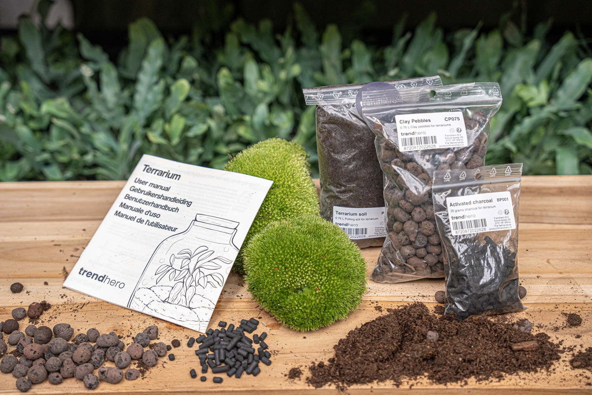 Terrarium Package  – Refill & Starter Package  – Diy Terrarium Kit – Size S/M