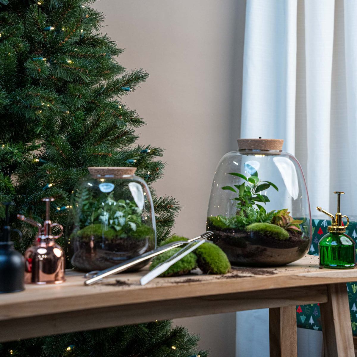 Terrarium Emma - Ø 23 Cm ↑ 25 Cm - Relatiegeschenk